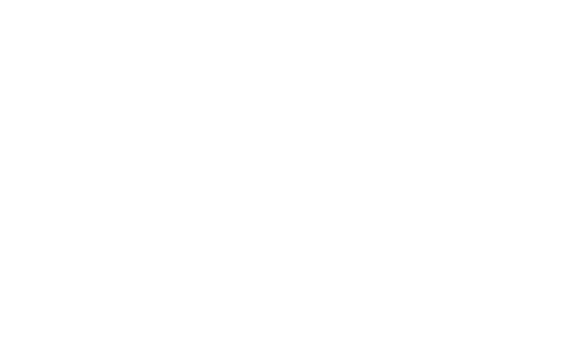 baalderborg-logo-wit