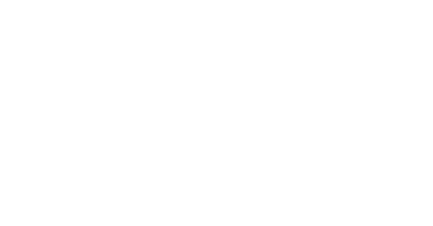 frion-logo-wit